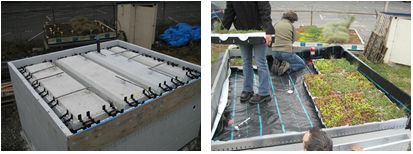 Green Roof with ICF Research